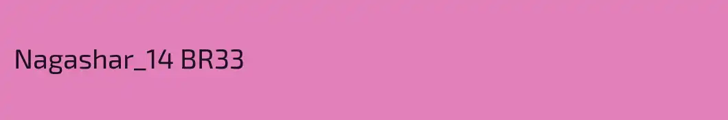 Nagashar_14 BR33